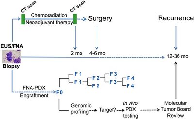 Genomic characterization of patient-derived xenograft models established from fine needle aspirate biopsies of a primary pancreatic ductal adenocarcinoma and from patient-matched metastatic sites