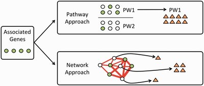 Pathway and network-based strategies to translate genetic discoveries into effective therapies