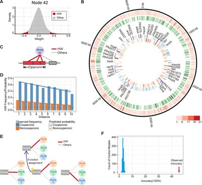 ADAGE-Based Integration of Publicly Available Pseudomonas aeruginosa Gene Expression Data with Denoising Autoencoders Illuminates Microbe-Host Interactions