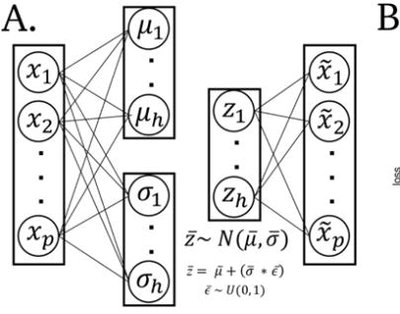 Extracting a biologically relevant latent space from cancer transcriptomes with variational autoencoders