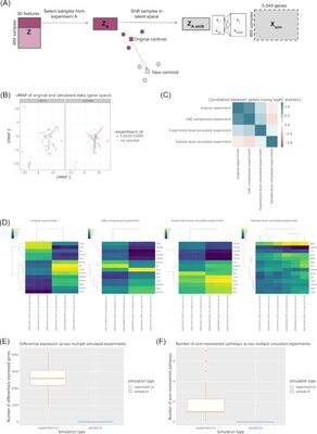 Correcting for experiment-specific variability in expression compendia can remove underlying signals